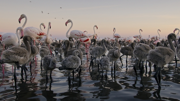 Europas fem världar