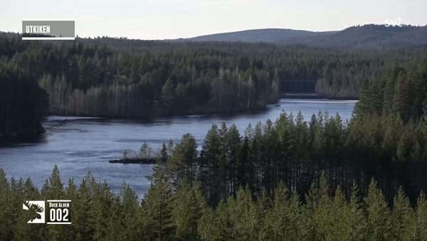 Den stora älgvandringen