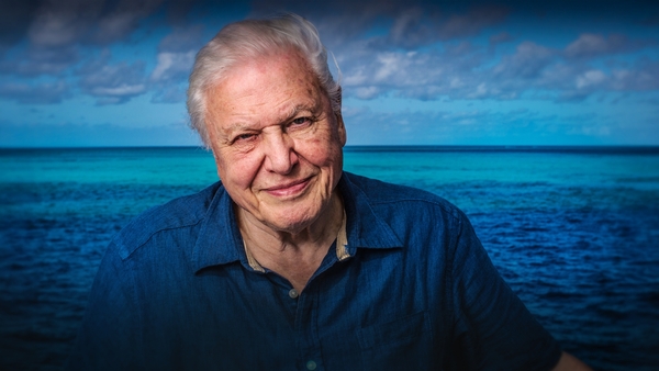 David Attenborough 100 år