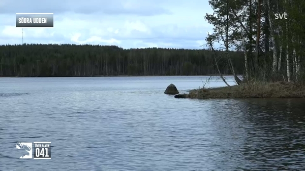Den stora älgvandringen