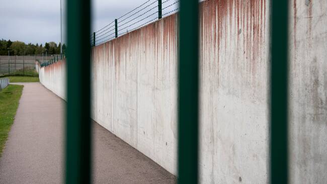 Bild från ett fängelse bakom murar, galler och taggstängsel.