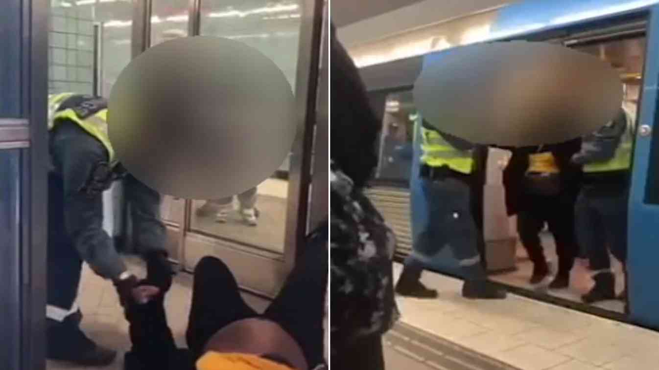 gravid kvinna tåg film