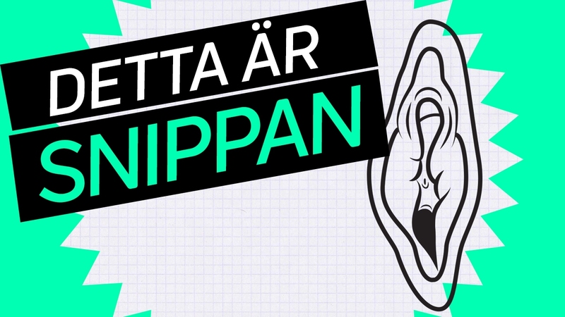 Random Mix: Pirrigt - Detta är snippan | SVT Barn