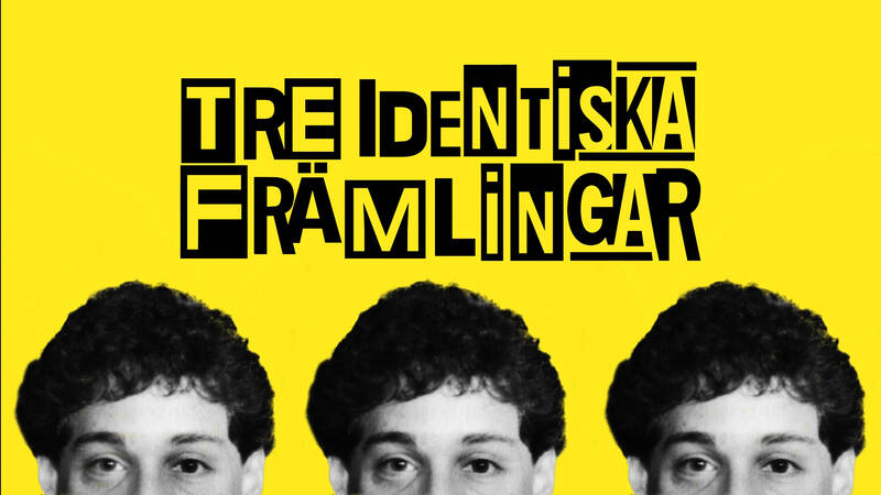 En tonåring i 1980-talets New York upptäcker av en slump att han har en identisk tvilling. Men historien slutar inte där - det visar sig att det finns ytterligare en identisk bror.