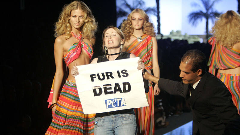 En PETA-aktivist (People for the Ethical Treatment of Animals) håller en banderoll med texten Fur is dead, när hon hoppar upp på catwalken under Roberto Cavallis modekollektion vår/sommar 2006, i Milano, Italien, fredagen den 30 september. , 2005. - Skandal i modevärlden