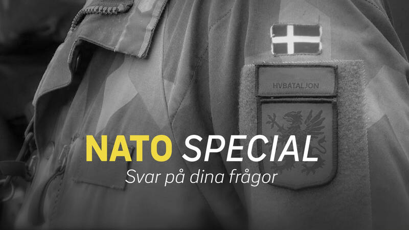 Sverige fattar inom kort ett beslut om ett eventuellt medlemskap i Nato. I ett direktsänt extrainsatt program kan tittarna ställa frågor om vad ett medlemskap i försvarsalliansen kan innebära för Sverige. - Nato special - svar på dina frågor
