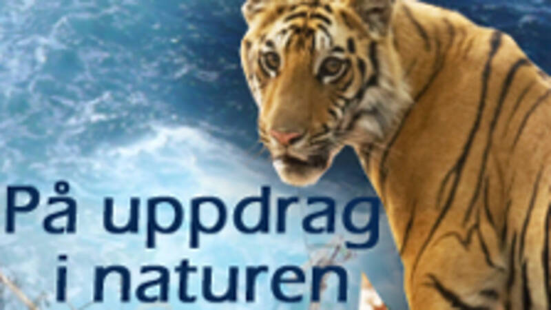 På uppdrag i naturen