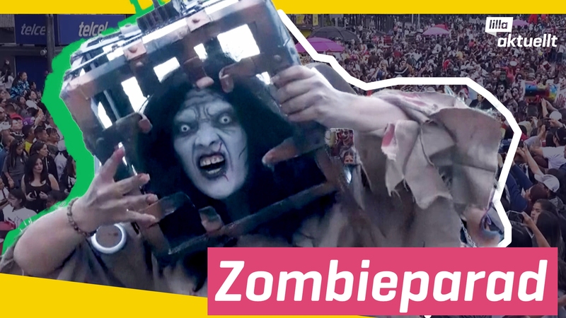 Lilla Aktuellt & Lilla Aktuellt skola - Zombies fyller Mexico City ...