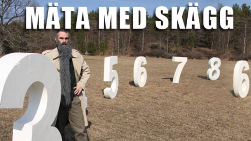 Mäta med Skägg