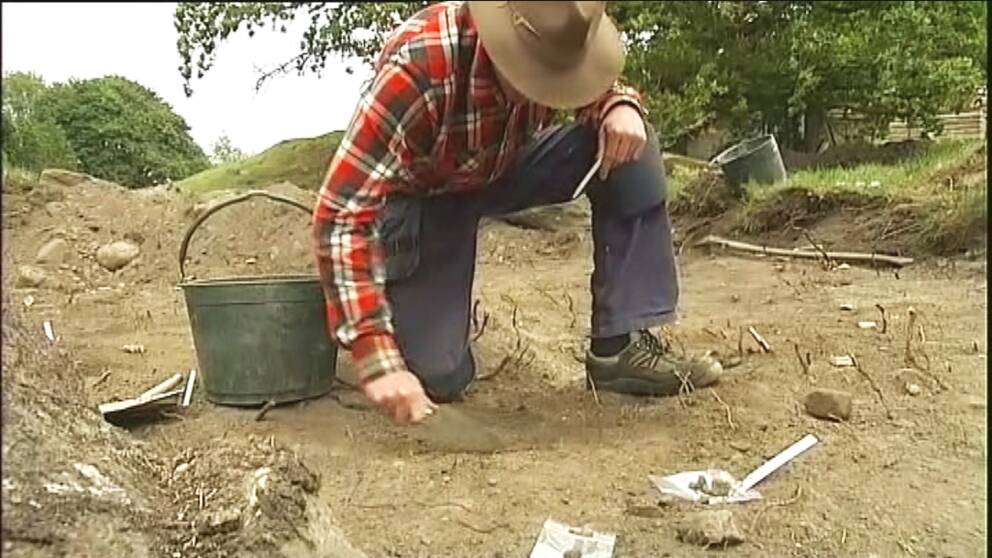 En man gräver i jorden på Lurö