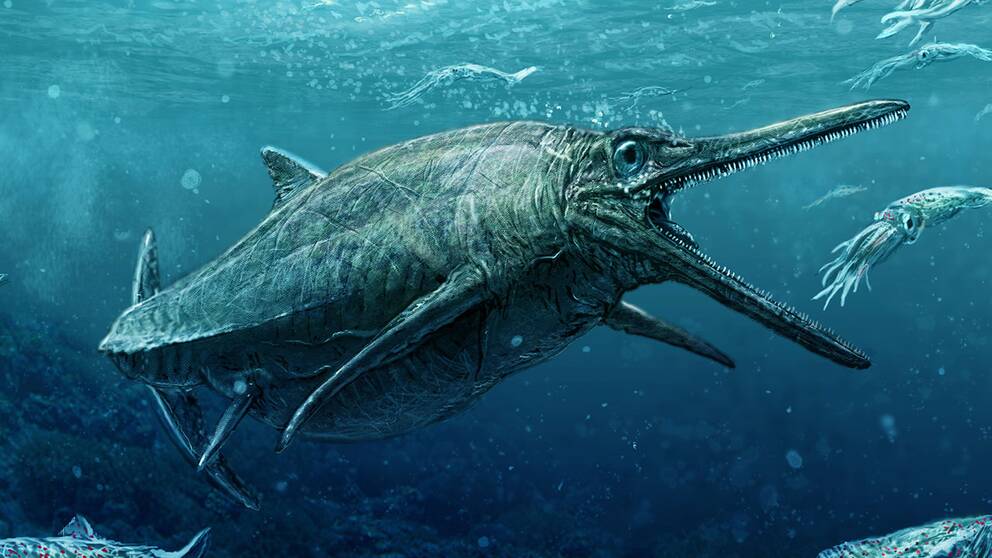 En illustration av det delfinliknande rovdjuret Ichtyosaurus. 