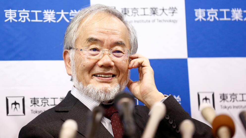 Yoshinori Ohsumi,