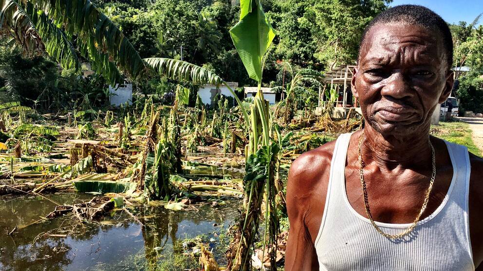 Bananodlaren Pierre Claude på Haiti förlorade allt.