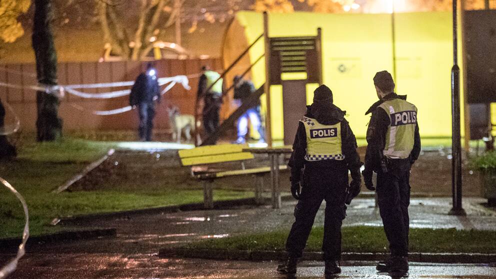 Två bröder sköts ihjäl i Västra Frölunda i Göteborg den 31 oktober. 
