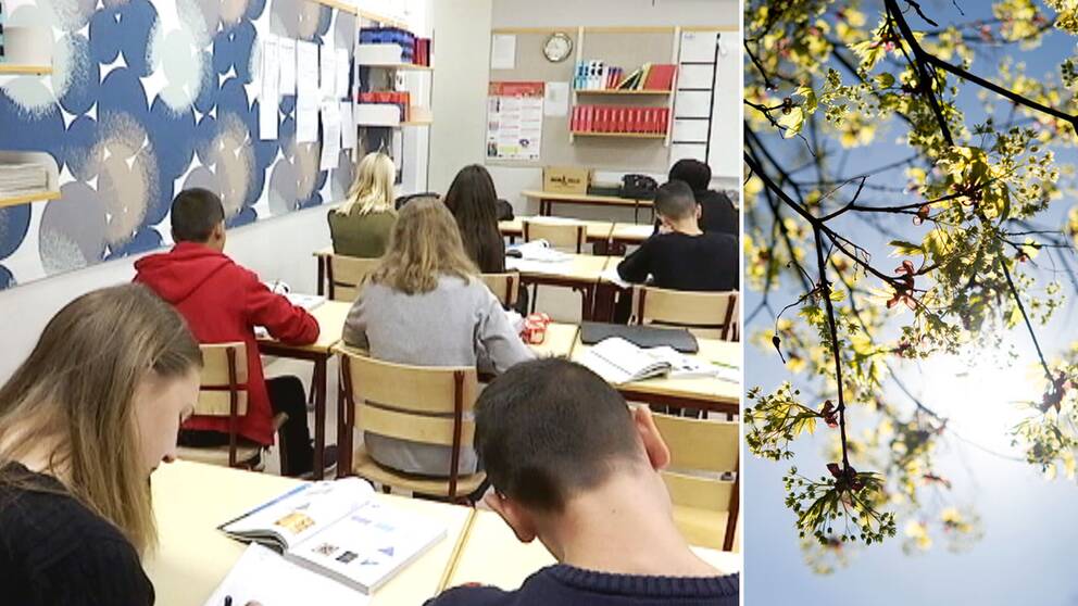 Vårljus i klassrummet gjorde så att elever presterade bättre.