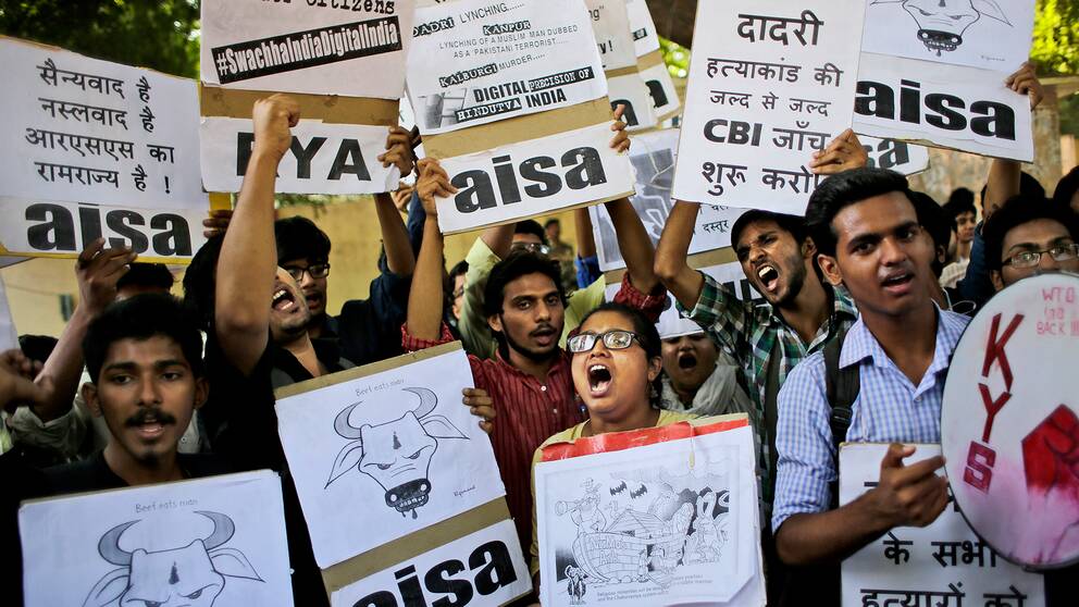 Protester bröt ut på flera håll i Indien efter att en 52-årig man slagits ihjäl och hans son skadats svårt när de blev angripna misstänkta för att ha kött från ko. Arkivbild 2015