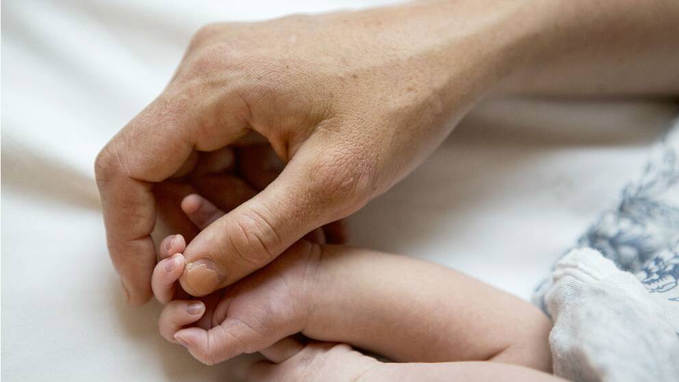 En bild på en föräldrahand som håller i en spädbarnshand