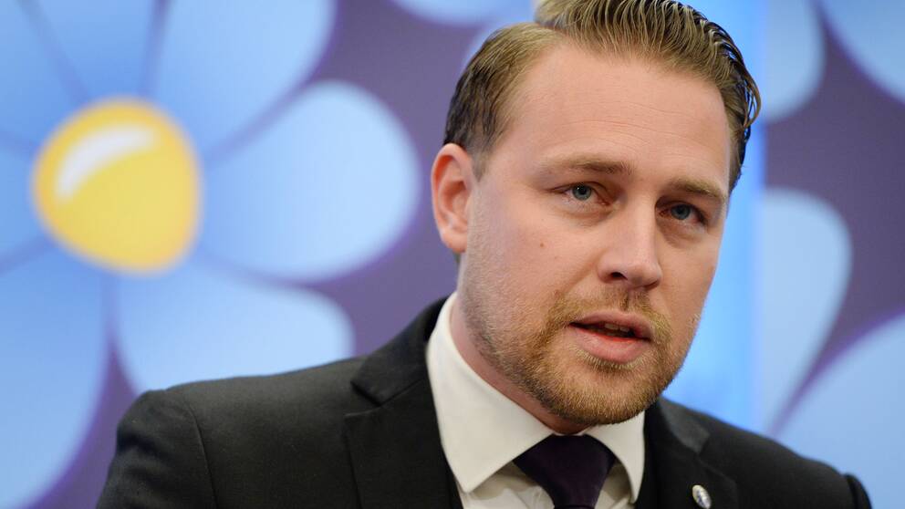 Mattias Karlsson, Sverigedemokraternas gruppledare.