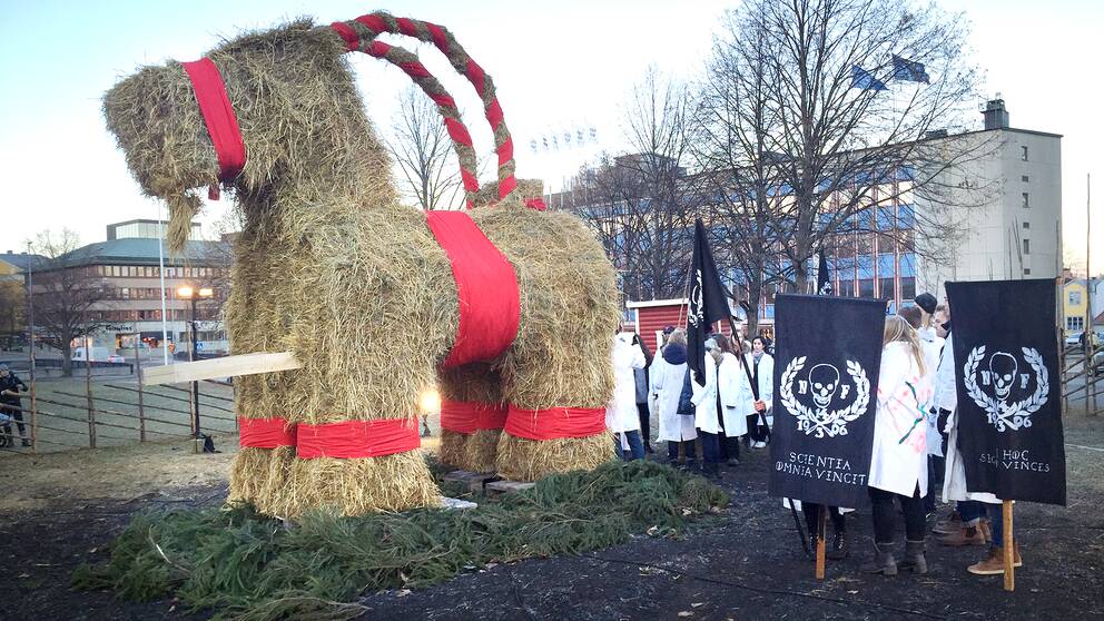 Lillbocken på plats