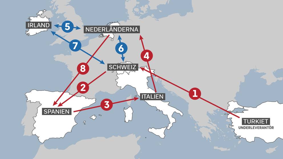Grafik: Helena Jonsson / SVT