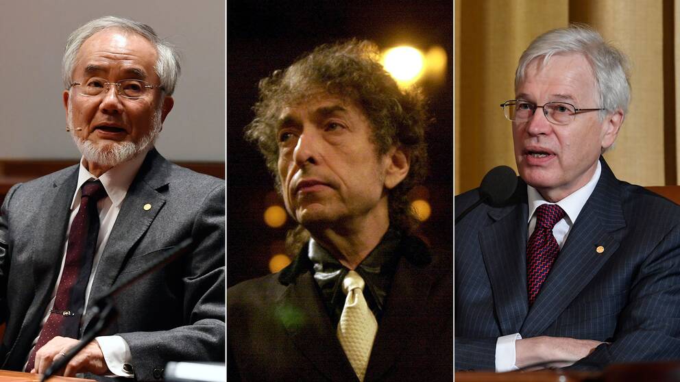 Yoshinori Oshumi, Bob Dylan och Bengt Holmström är tre av årets Nobelpristagare.