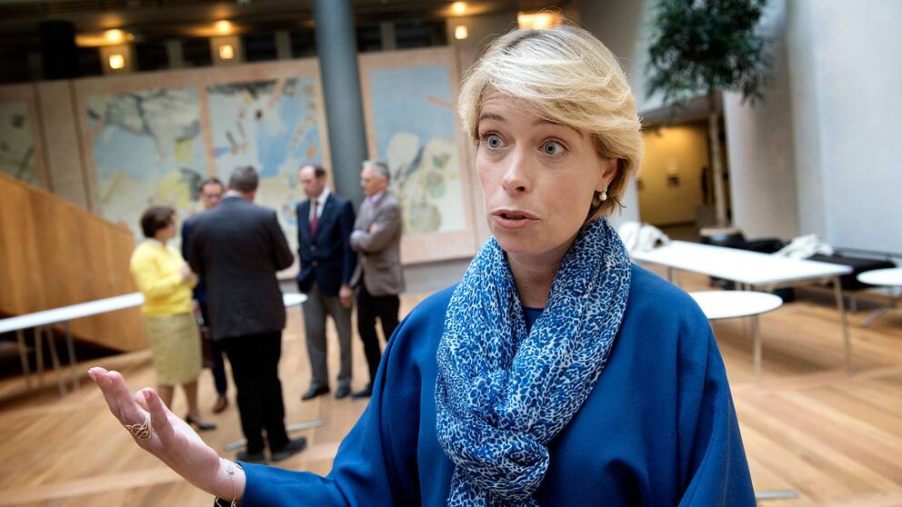 Socialförsäkringsminister Annika Strandhäll (S). Foto: TT