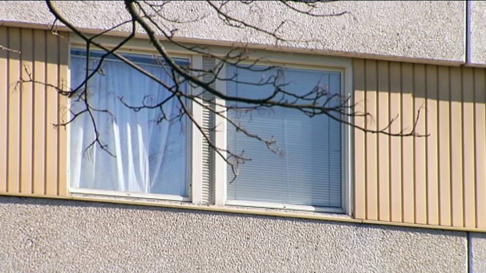 närbild fönster