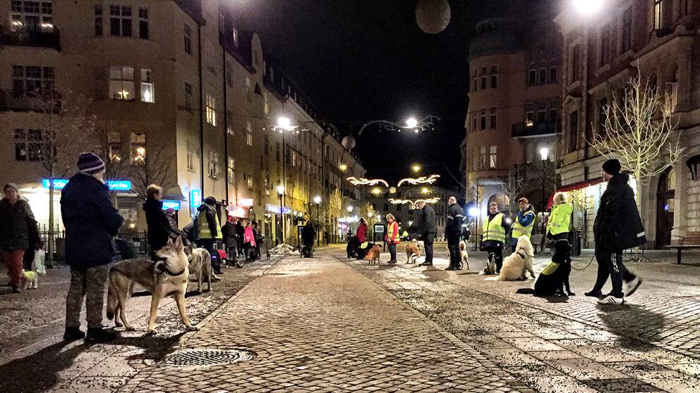 Hundpromenad