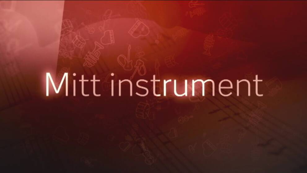 Mitt instrument