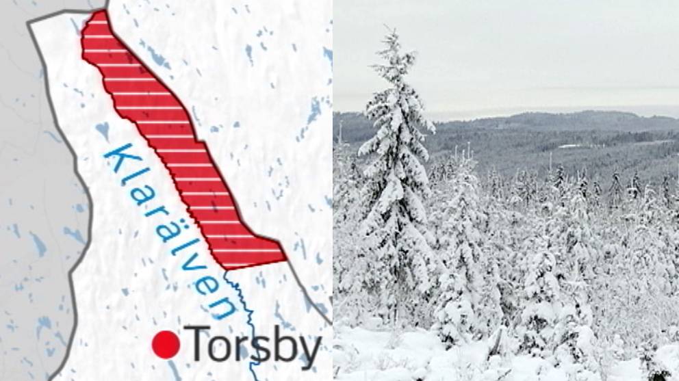 Tomma vargrevir i Torsby | SVT Nyheter