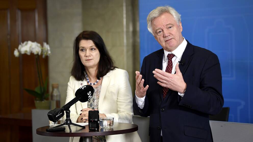 Storbritanniens brexit-minister David Davis träffade Sveriges EU-minister Ann Linde (S) i Stockholm under tisdagen.