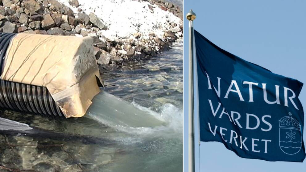 Naturvårdsverket, Blaikengruvan, sanering, miljöproblem