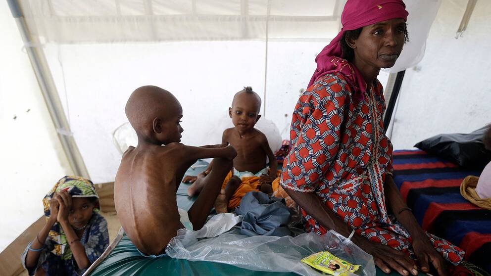 Nära 1,4 miljoner barn som är akut undernärda riskerar att dö av svält i år i Nigeria, Somalia, Sydsudan och Jemen, enligt FN:s barnfond Unicef. Bilden är tagen på en klinik i Maiduguri i Nigeria.