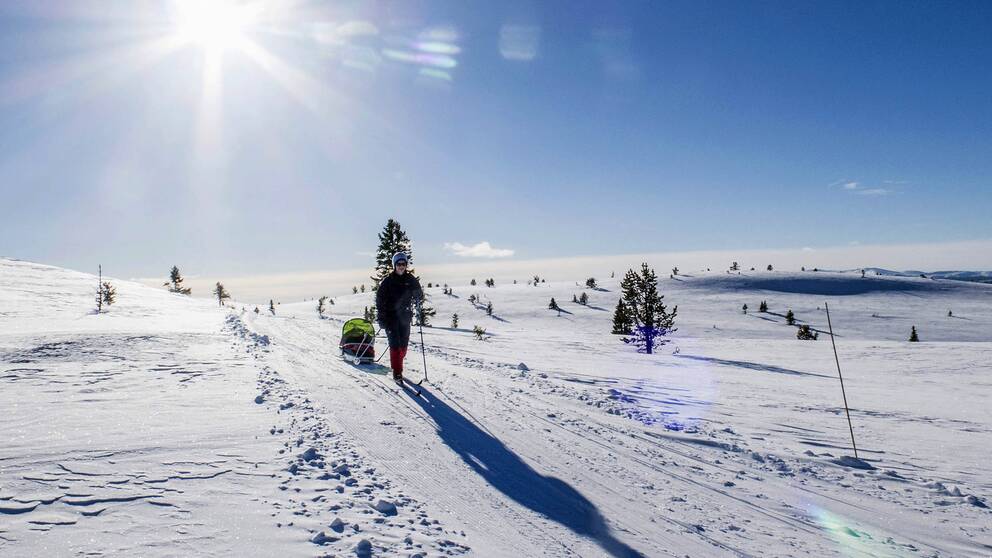 Sportlov, skidåkning, fjäll, snö