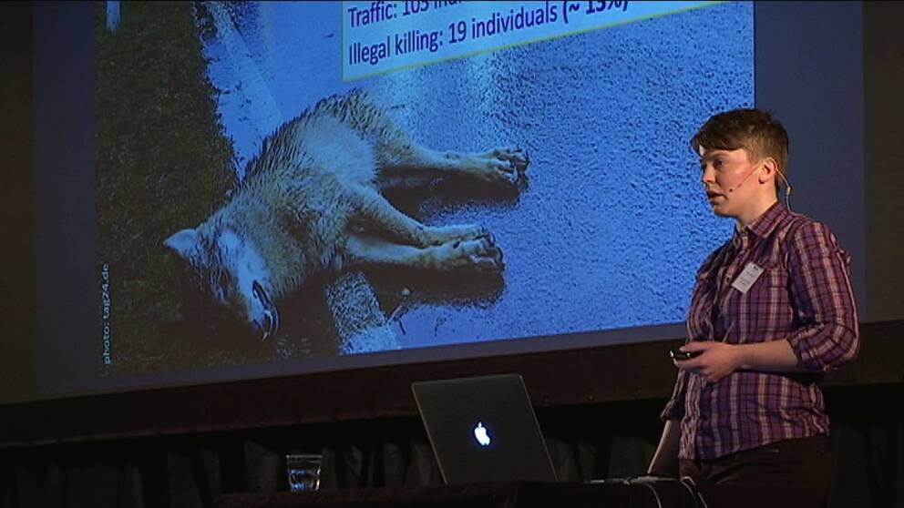 Vargsymposium