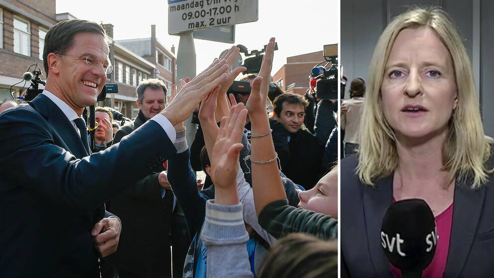 Mark Ruttes liberala parti ser ut att göra ett starkt val, enligt det första vallokalsundersökningen – SVT Nyheters Ulrika Bergsten är på plats i Nederländerna under valet.