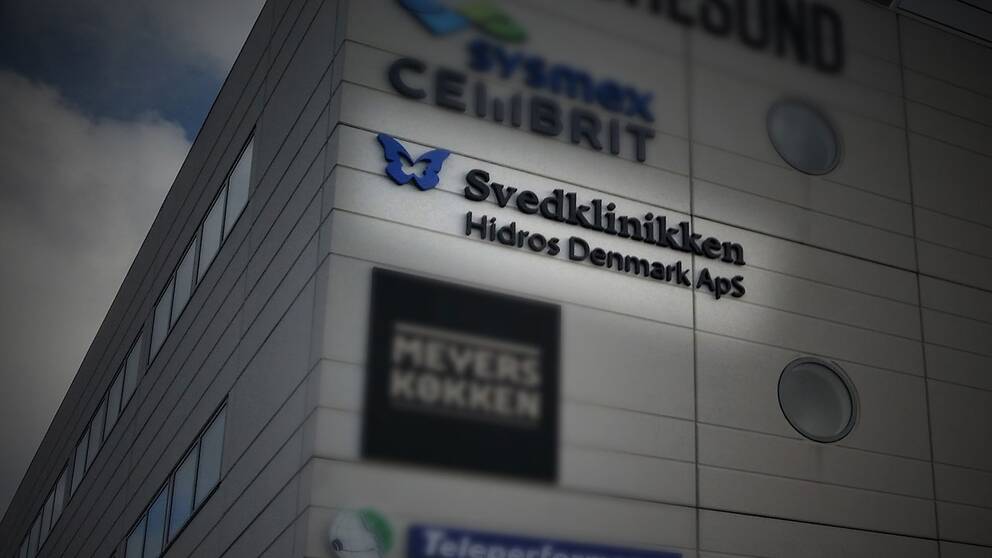 46 av 70 miljoner i skattepengar för vård i andra EU-länder gick förra året till en svenskägd klinik i Danmark som behandlar problem med svettningar.