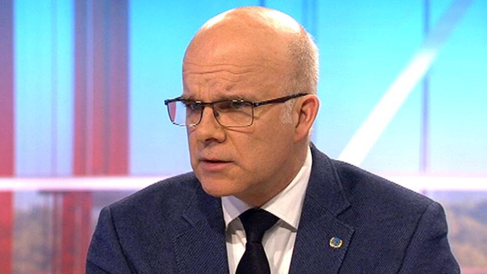 Aleksander Gabelic, ordförande för  svenska FN-förbundet