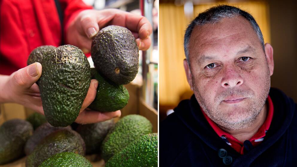 Rodrigo Mundaca i organisationen Modatima och en bild på avokado.