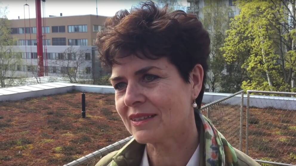 Ullakarin Nyberg