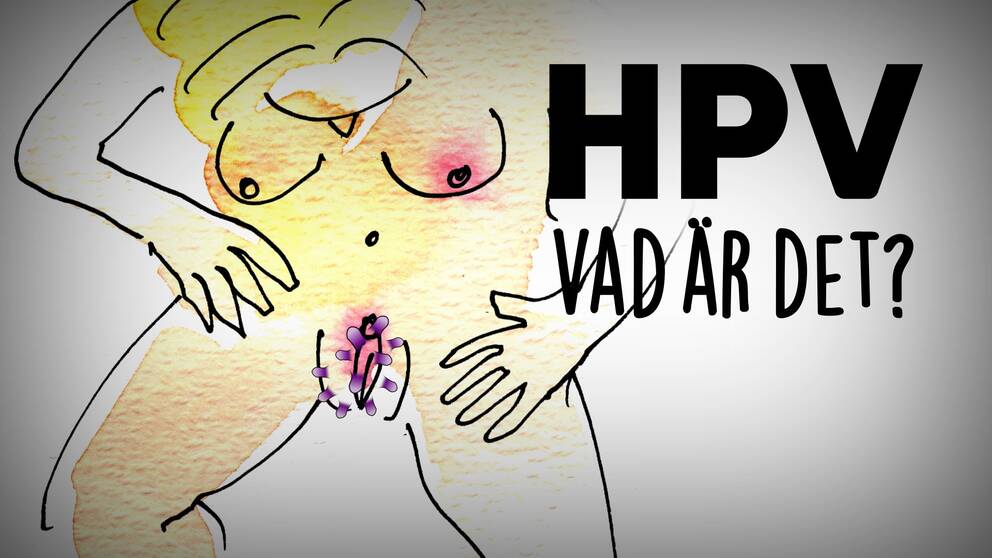 hpv vírus smittar harc az élő emberért és a győztesekért