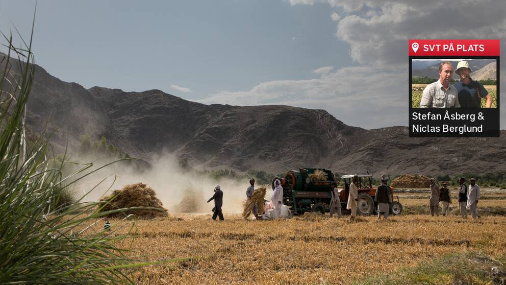 Opiumodling i Afghanistan