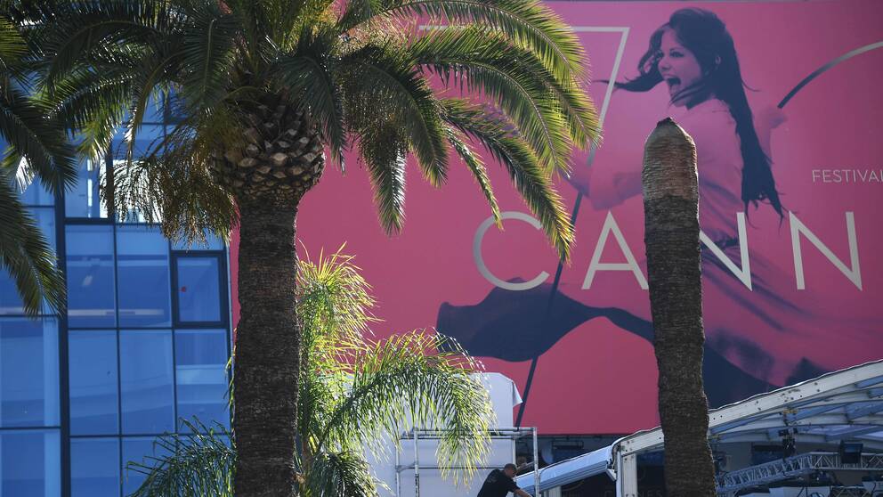 Filmfestivalen i Cannes 2017 är den 70:e i ordningen.