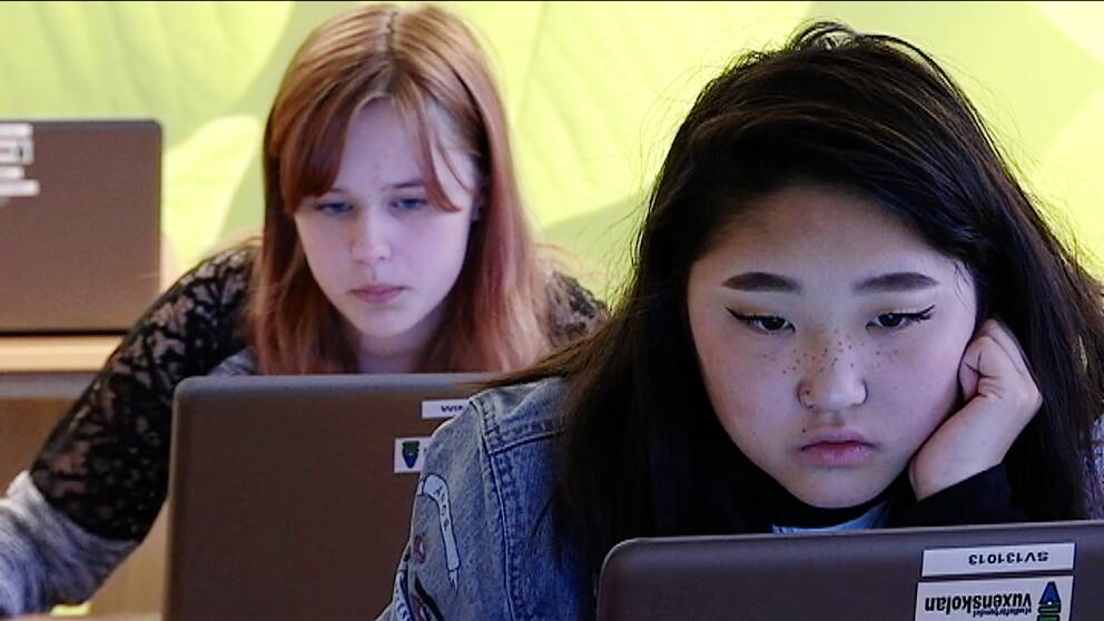 Två tjejer vid varsin laptop.
