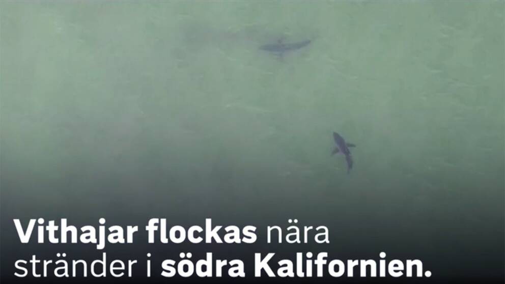 Träffa någon från online dejtingsajt
