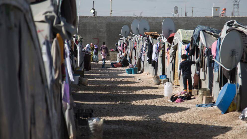 UNHCR: Rekordmånga på flykt