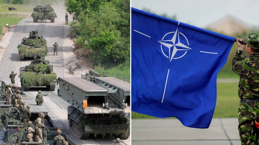 Bara var tredje vill att Sverige går med i Nato | SVT Nyheter