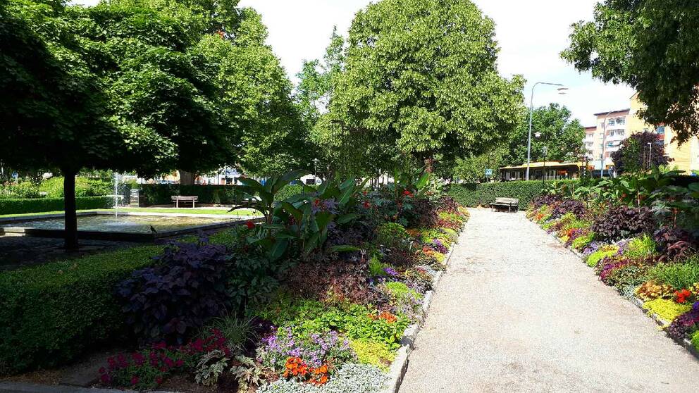 Den andra våldtäkten i Enköpingsparker på en vecka inträffade i natt. Den här gången i Gustav Adolfs-parken.