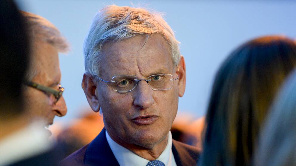 Carl Bildt (M) under Moderaternas valvaka 2014.