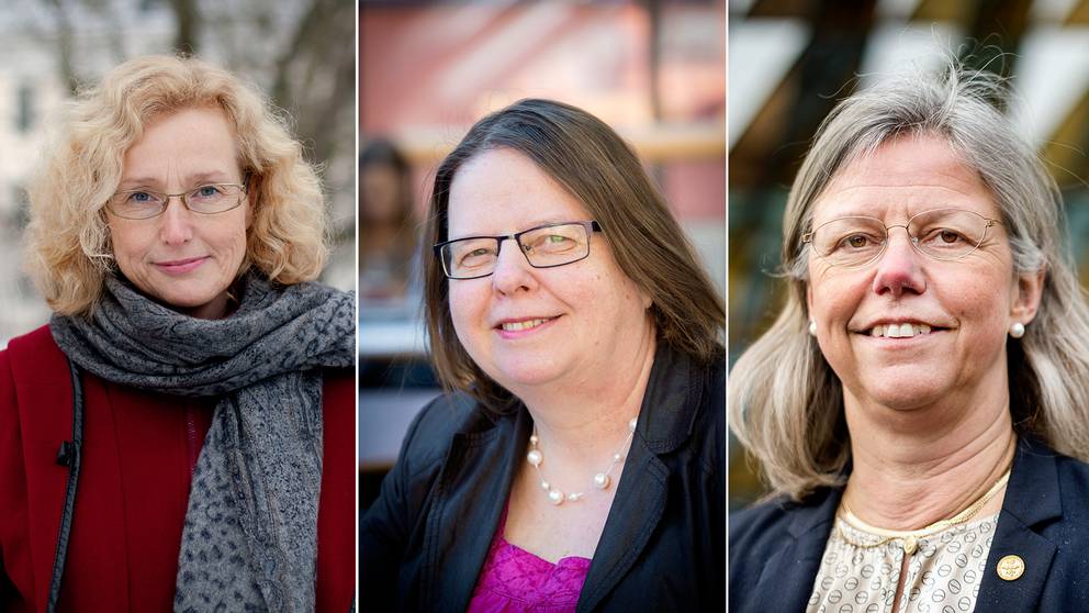 Universitetet: Tre kandiderar om rektorsplatsen | SVT Nyheter